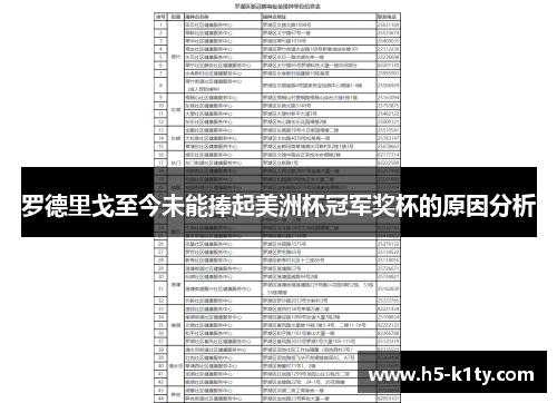 罗德里戈至今未能捧起美洲杯冠军奖杯的原因分析