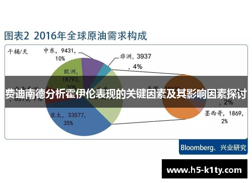 费迪南德分析霍伊伦表现的关键因素及其影响因素探讨