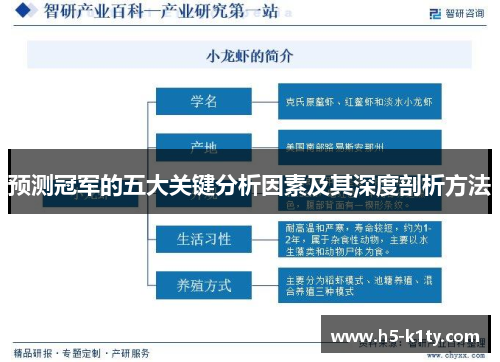 预测冠军的五大关键分析因素及其深度剖析方法