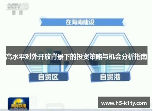 高水平对外开放背景下的投资策略与机会分析指南