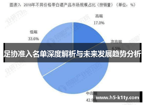 足协准入名单深度解析与未来发展趋势分析