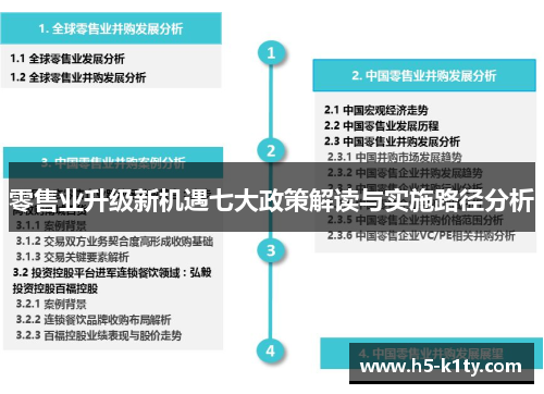 零售业升级新机遇七大政策解读与实施路径分析
